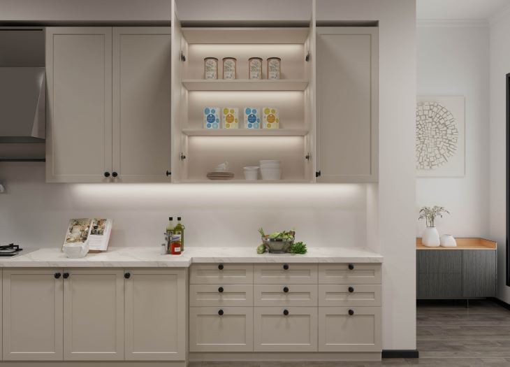 Shaker Style Kitchen Cabinet